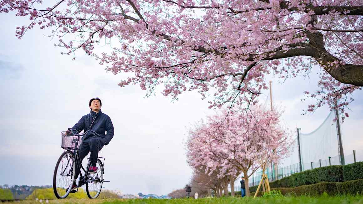 Japan cracks down on its wayward cyclists