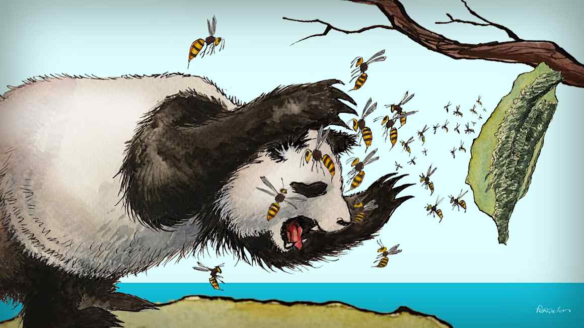 Trump and Xi will not determine Taiwan’s fate