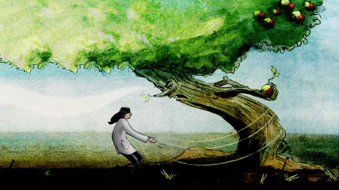 What if ideas aren’t getting harder to find, after all?