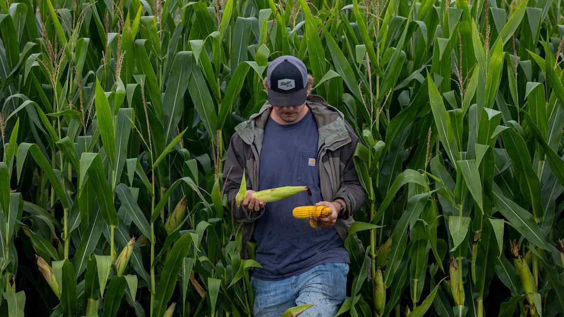 The fall of America’s farm superpower